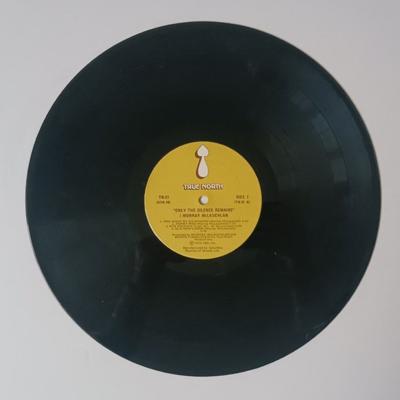 Vintage Murray McLauchlan Only The Silence Remains vinyl record, 1975 original - Picture 8 of 11